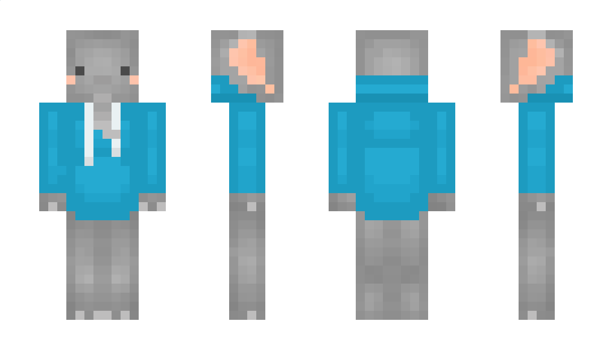 ElefantInTheRoom Minecraft Skin