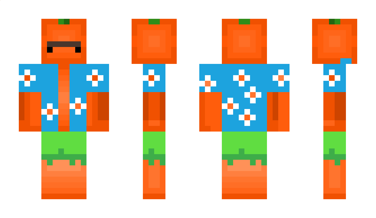 Flashyhd Minecraft Skin