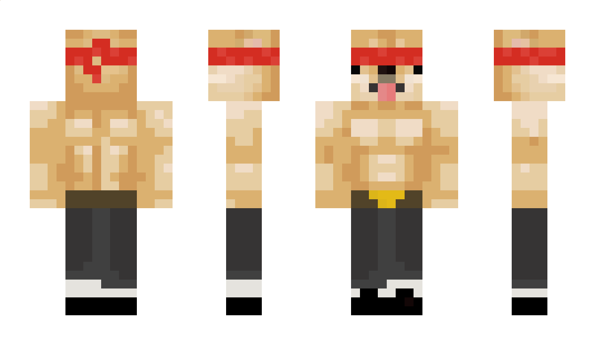 Vi0lin_ Minecraft Skin