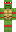 Shankz Minecraft Skin