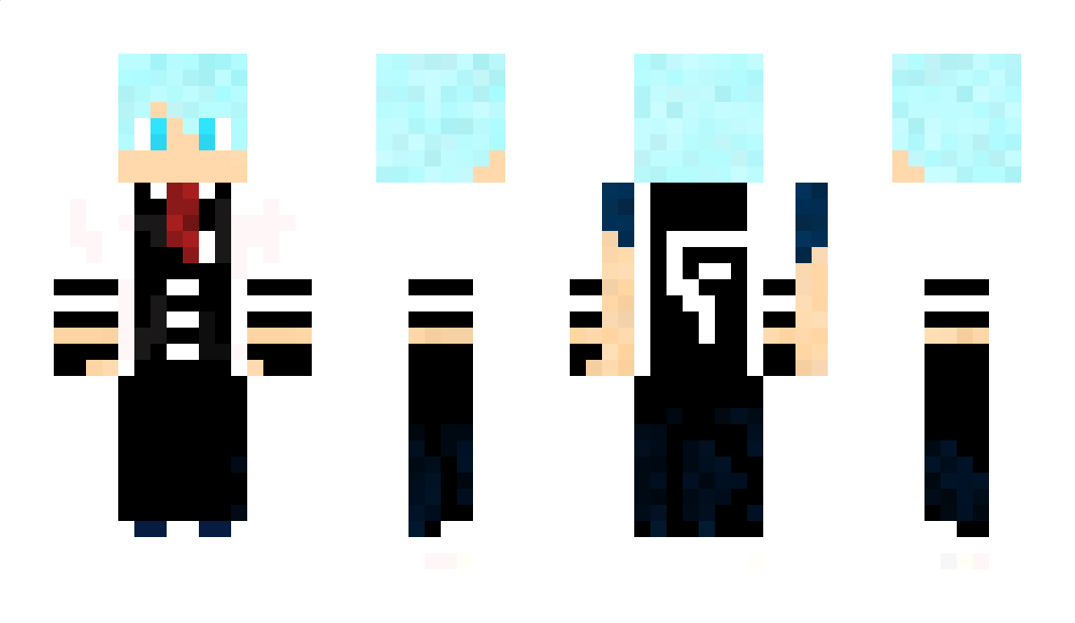 EnderLoeYT Minecraft Skin