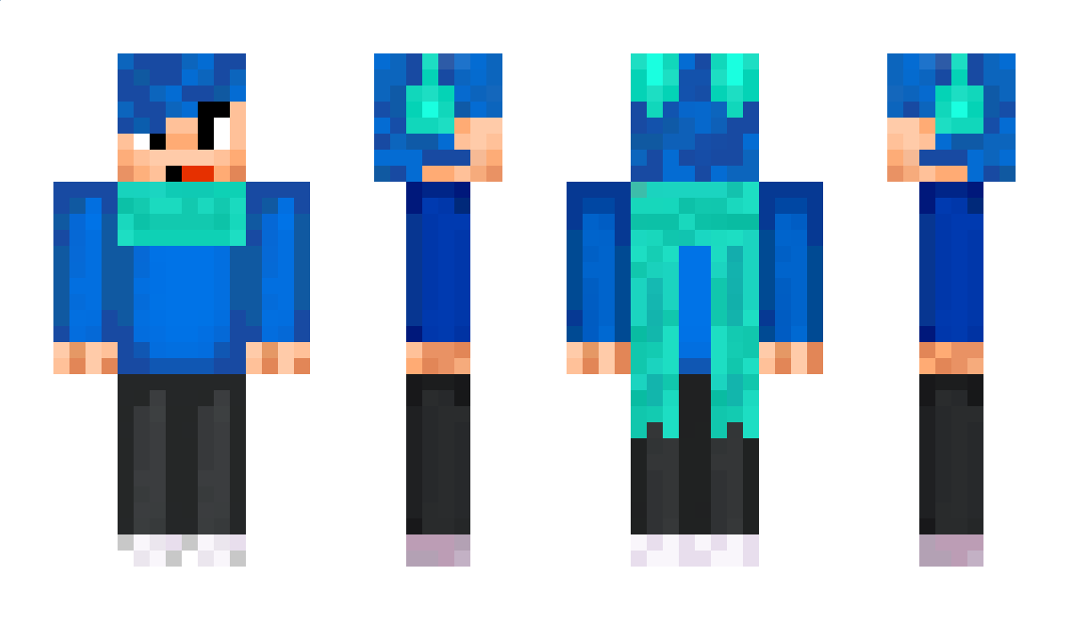 qdjj11 Minecraft Skin