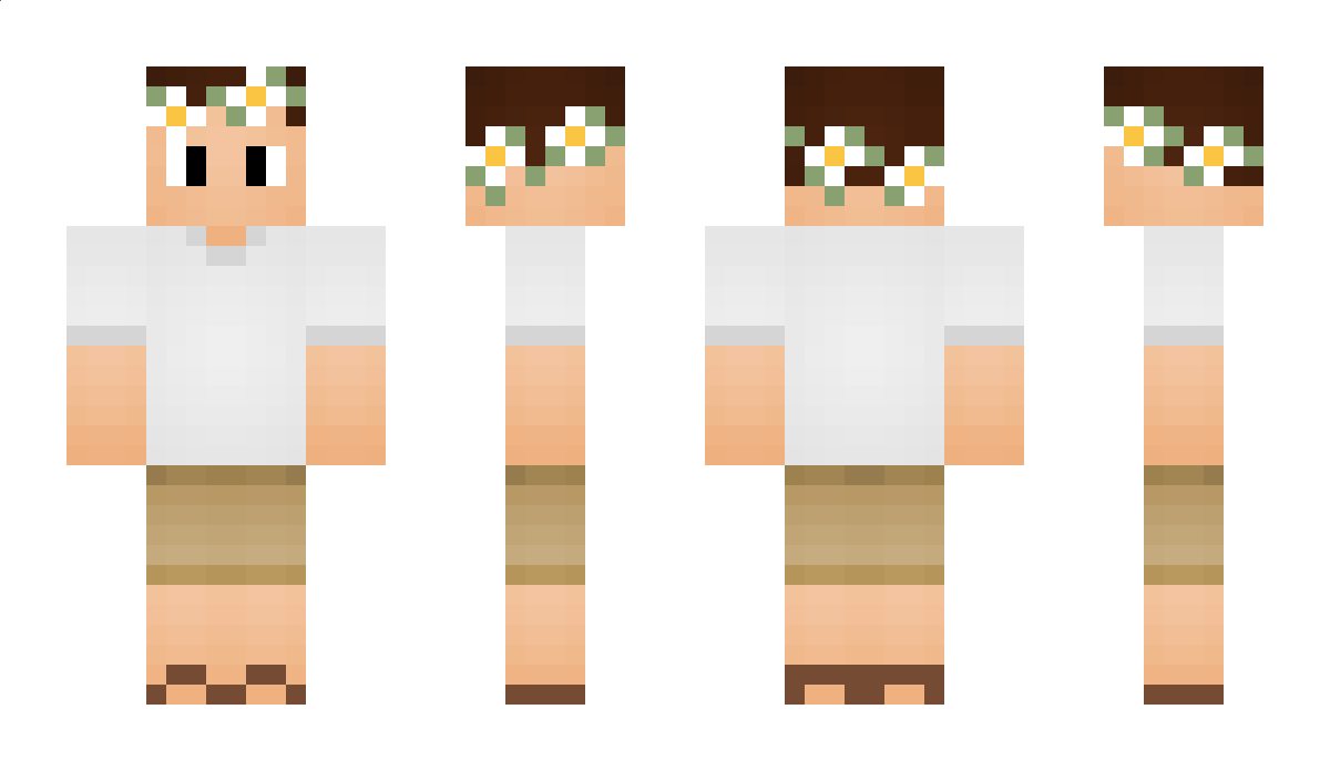 Aerial Minecraft Skin