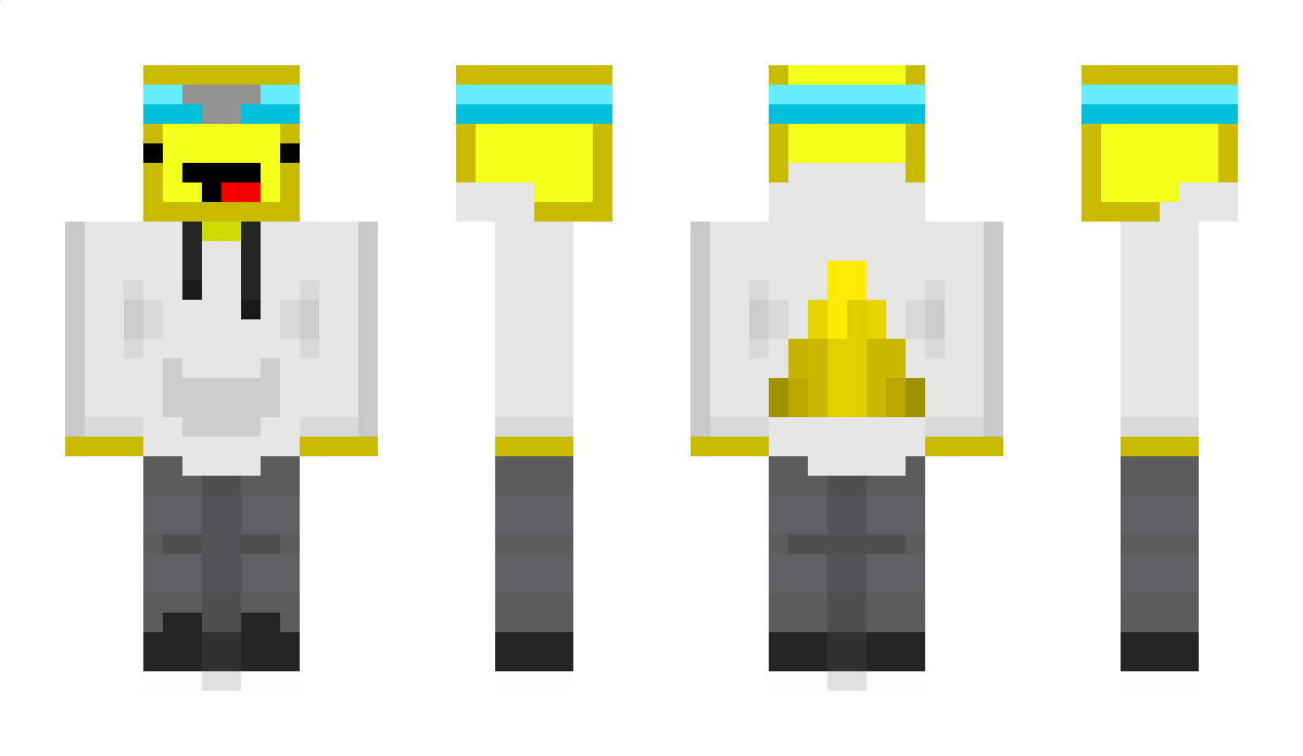 Logicalgull Minecraft Skin