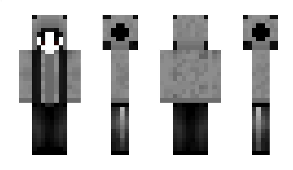 projecct Minecraft Skin