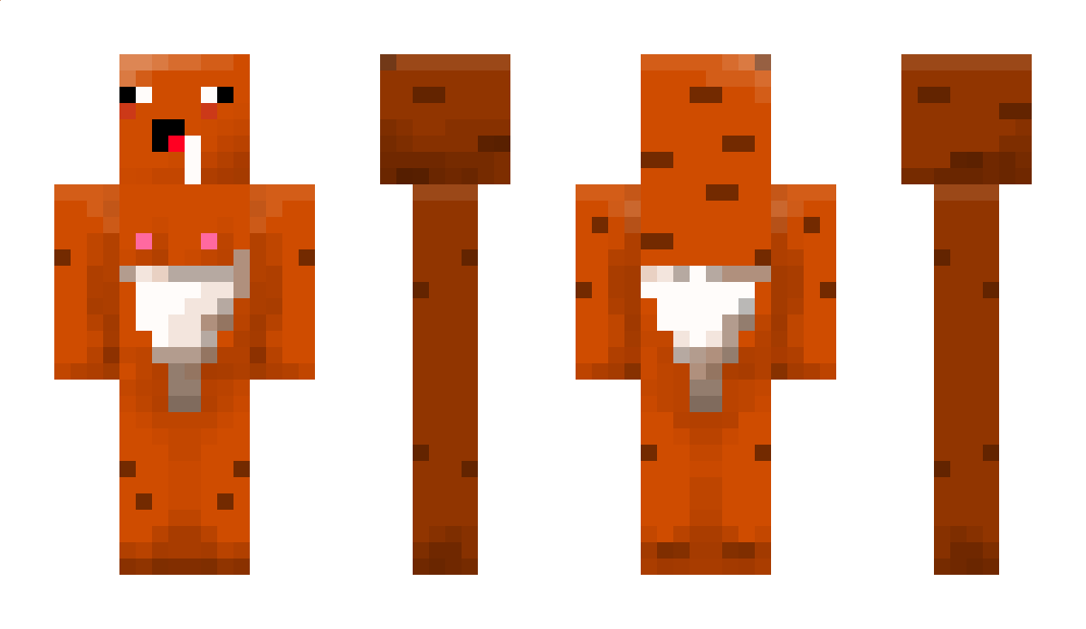 DDong Minecraft Skin