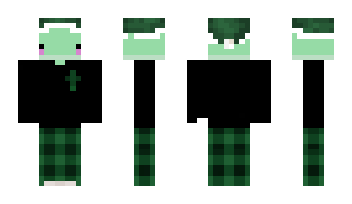 Quax_TV Minecraft Skin