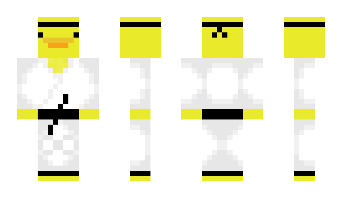 1102 Minecraft Skin