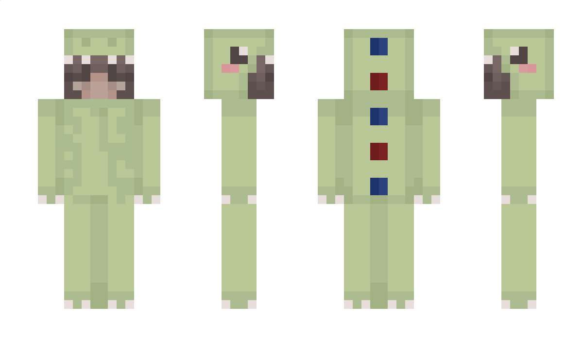 sqwonk Minecraft Skin