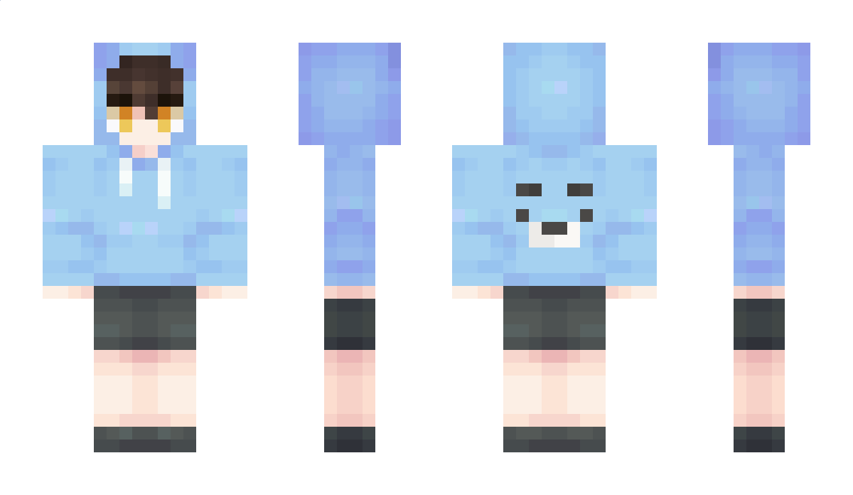 Violer Minecraft Skin