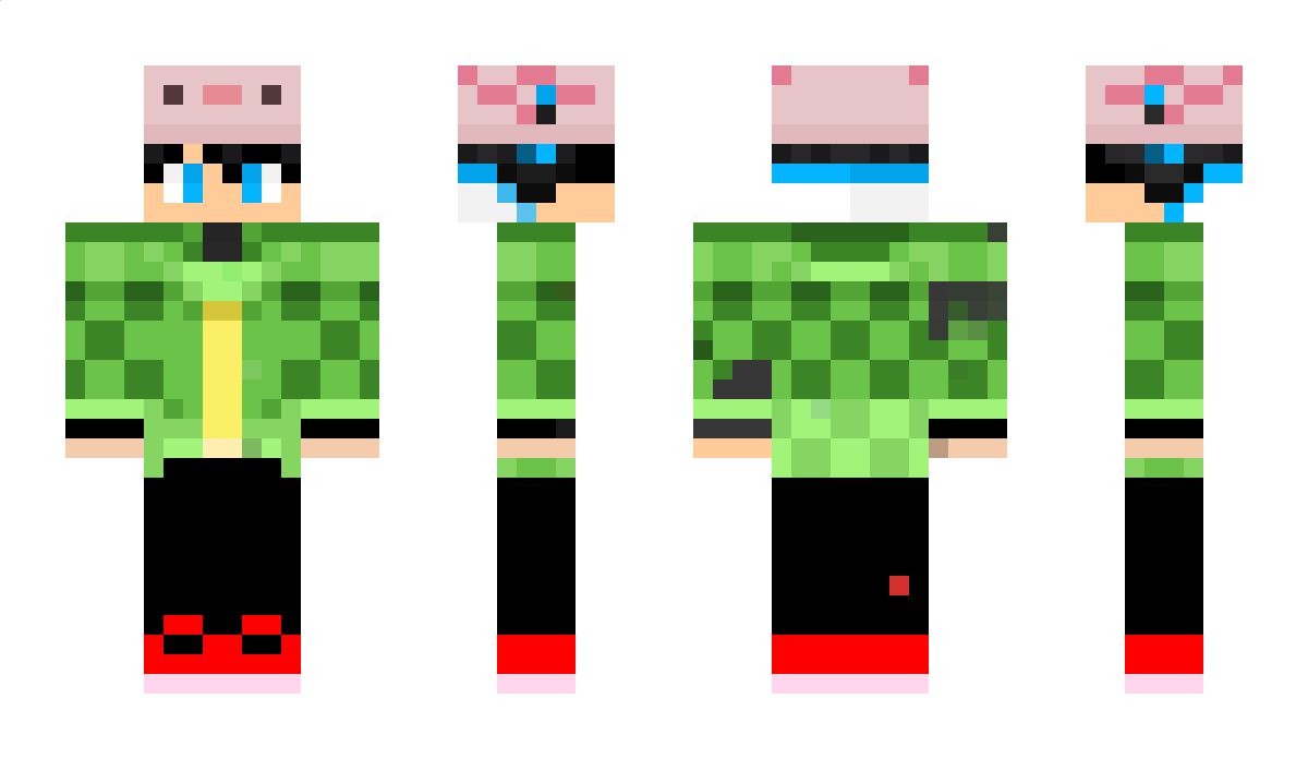 Ashansu Minecraft Skin