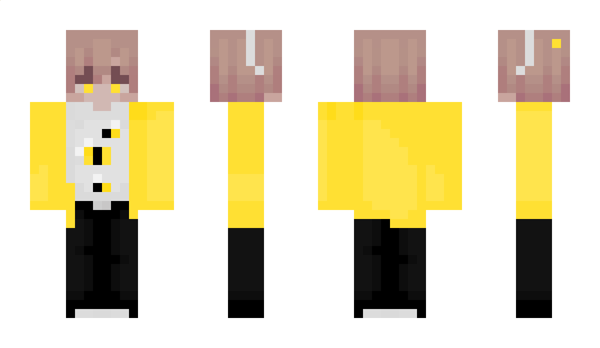 theparrotx2 Minecraft Skin