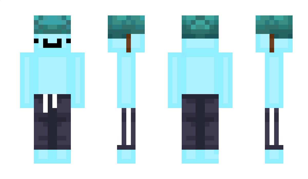 Floavyz_ Minecraft Skin