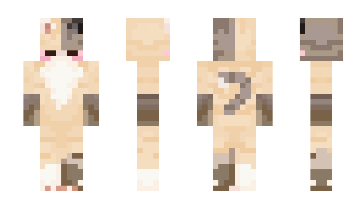 minerGN Minecraft Skin