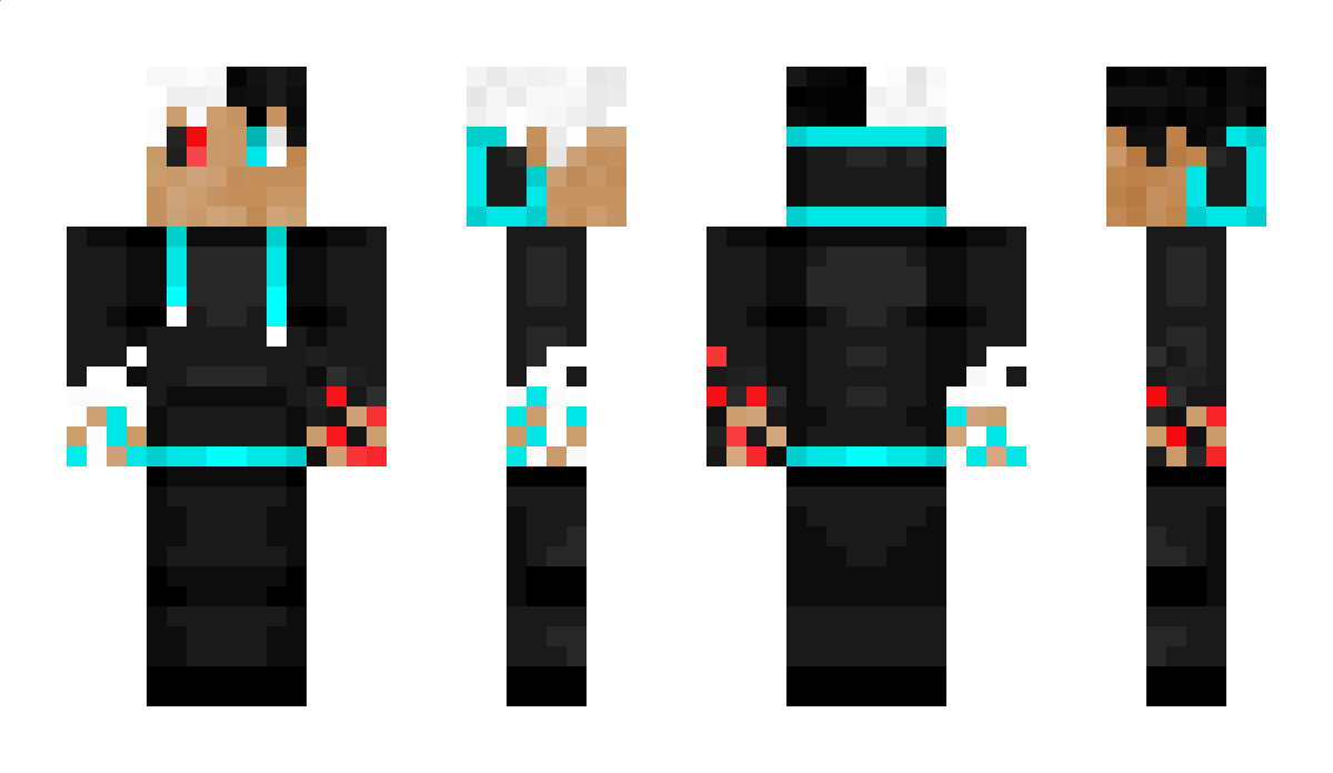 Ender_elite Minecraft Skin