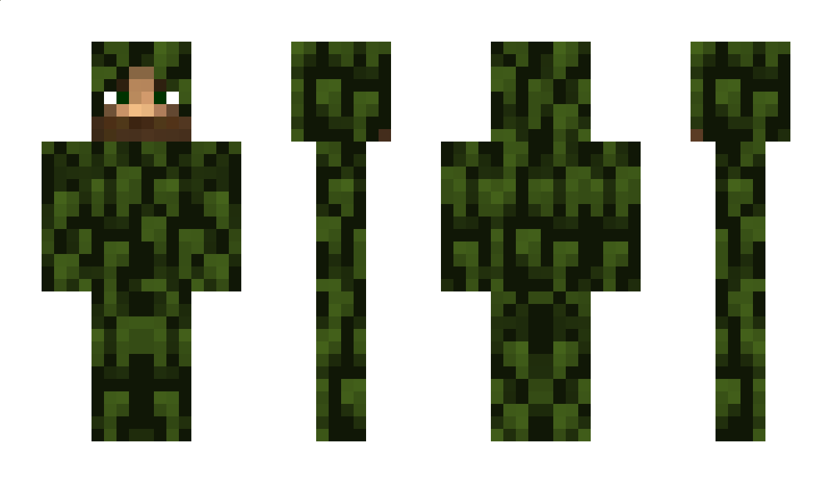 Bearsark Minecraft Skin