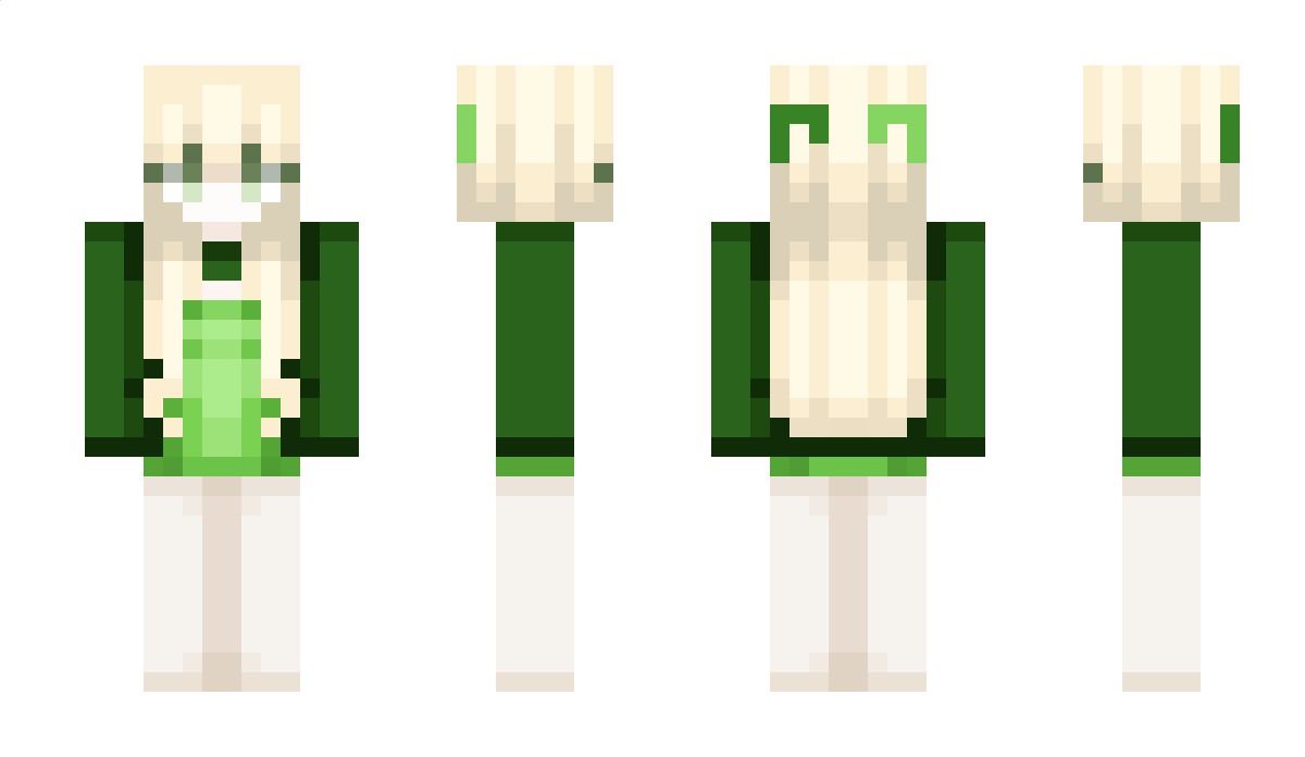 Ditzey Minecraft Skin