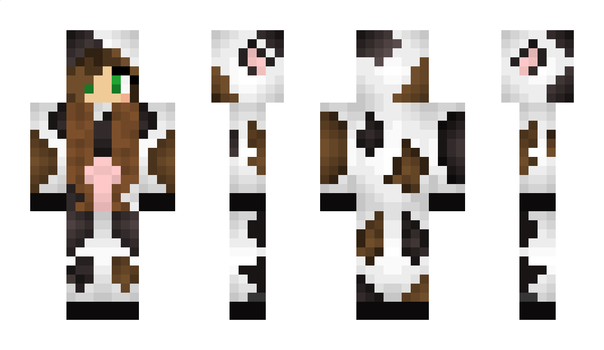 dragonridergeo Minecraft Skin