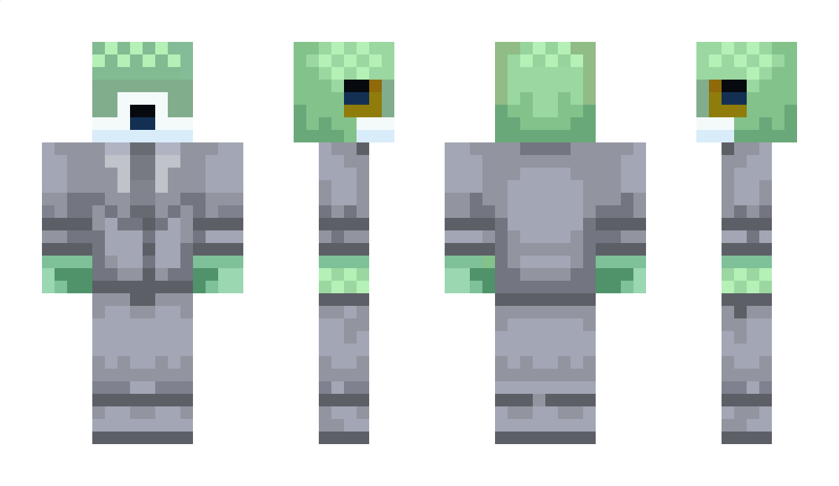 fissilevoyage87 Minecraft Skin