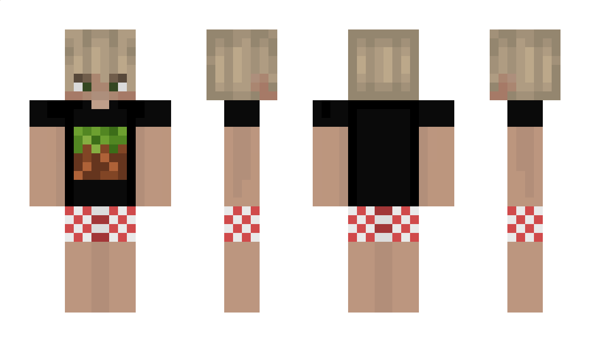 NTGaming_live Minecraft Skin