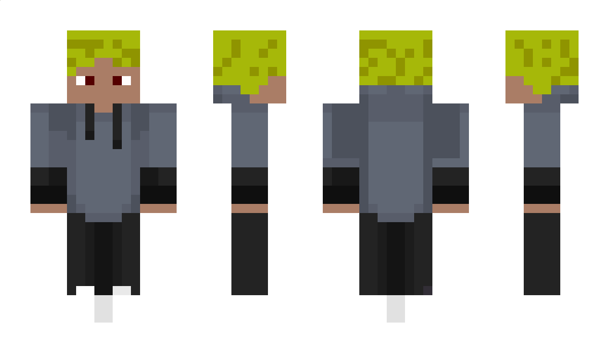 DiggiFinni Minecraft Skin