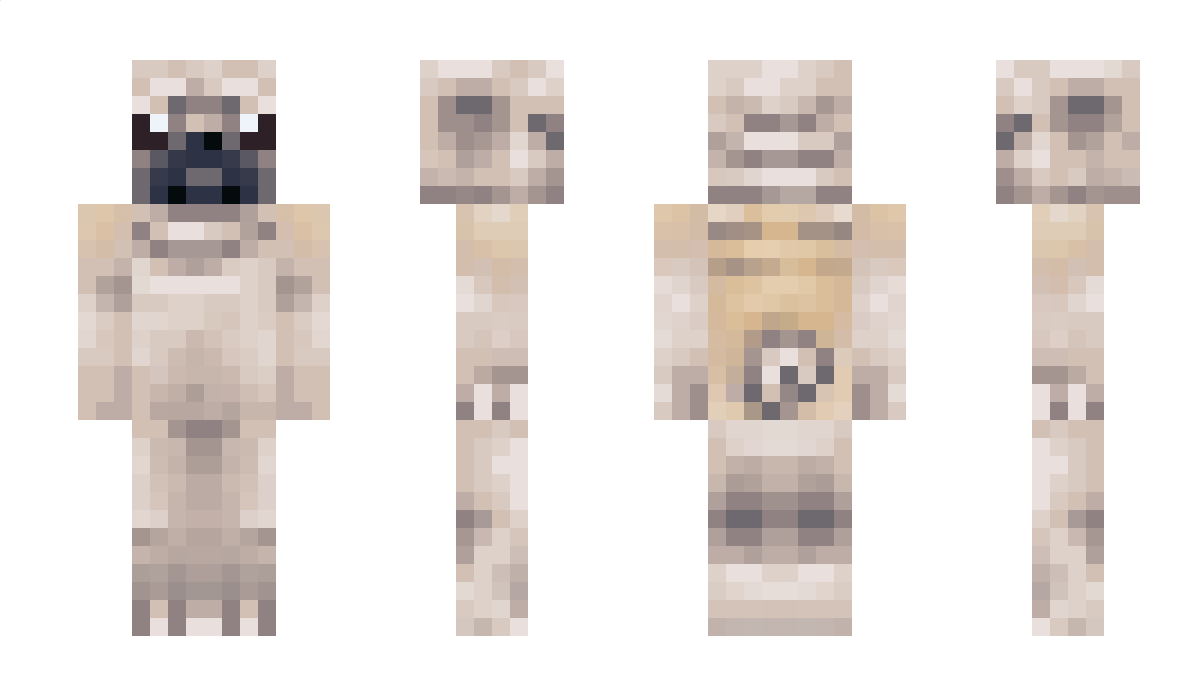 dles6 Minecraft Skin