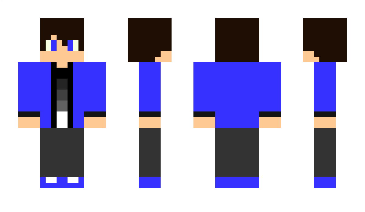 minecraftproll Minecraft Skin