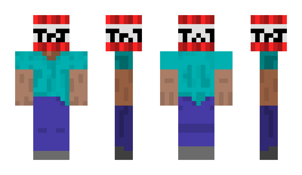 Stupied Minecraft Skin