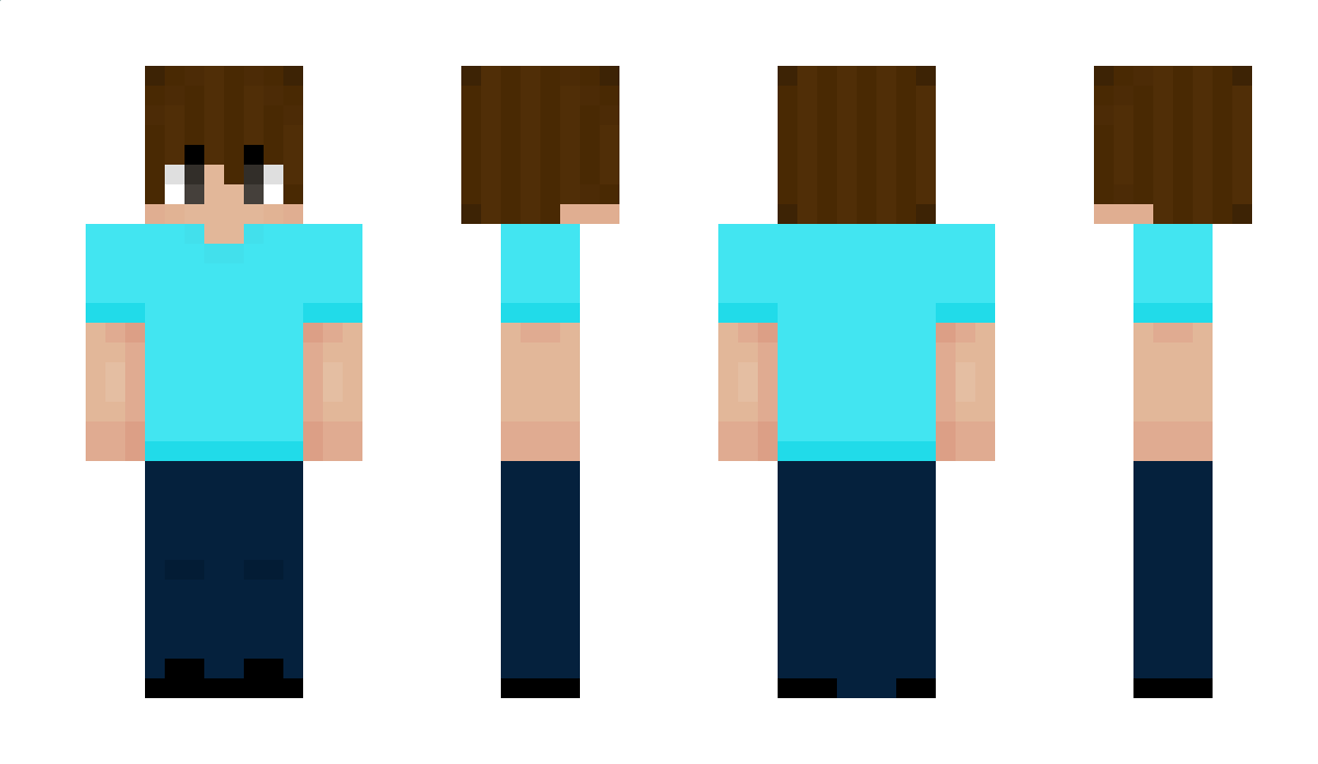 NormalSizeZacian Minecraft Skin