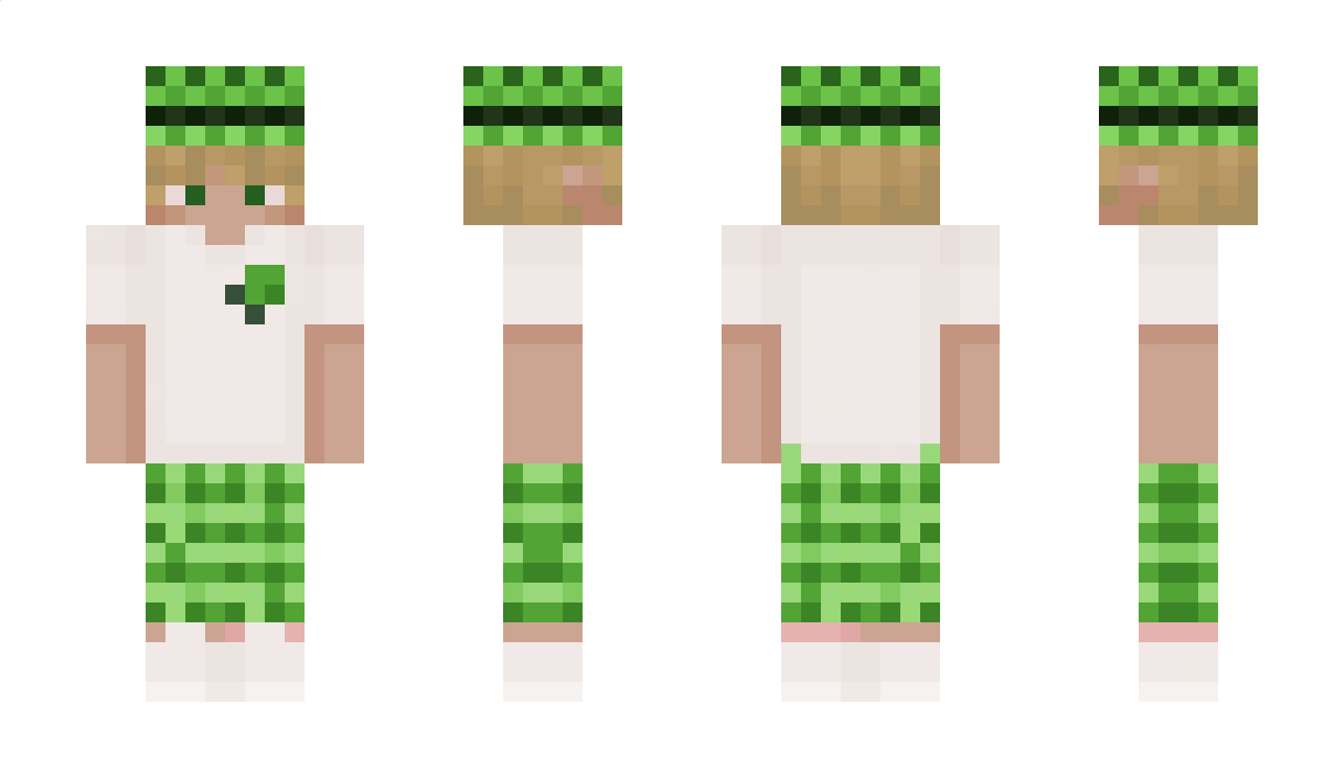 Folke1000 Minecraft Skin