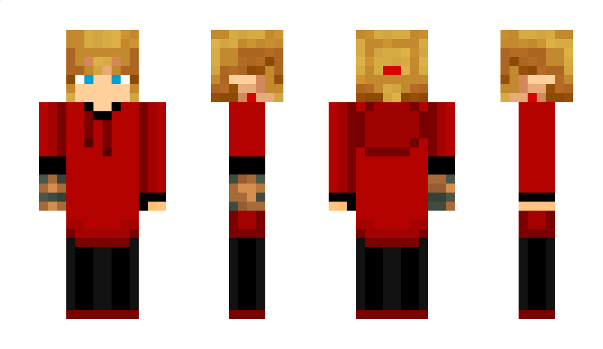 nikogall06 Minecraft Skin