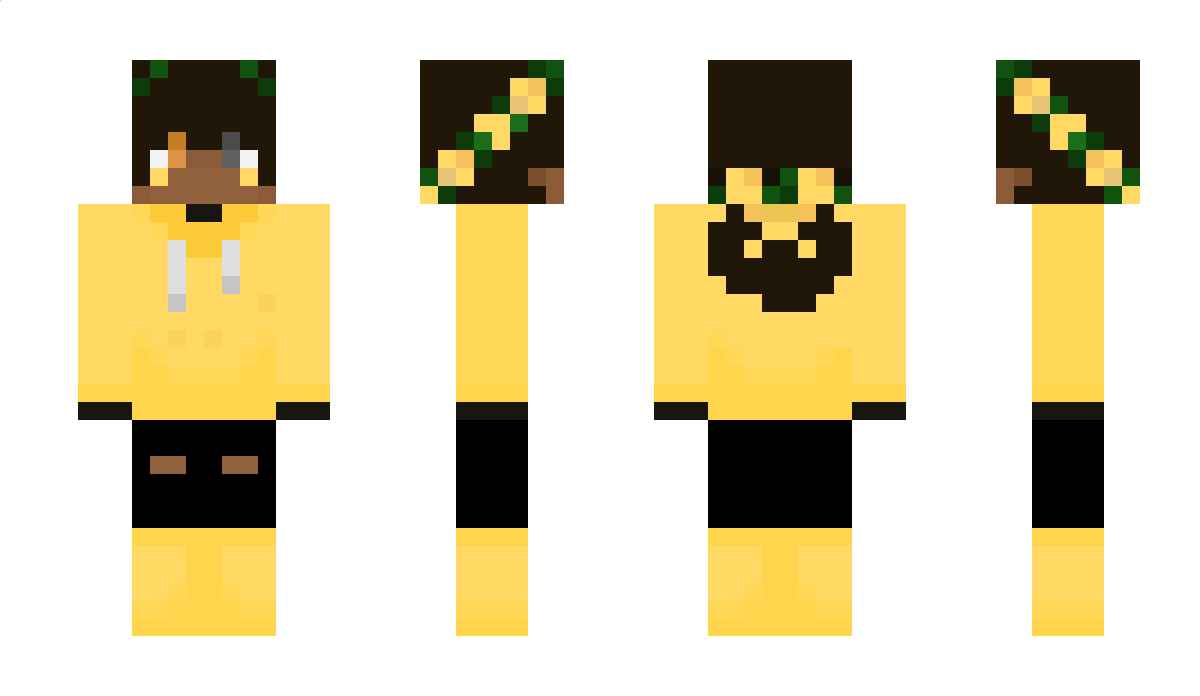 Quinndelion Minecraft Skin