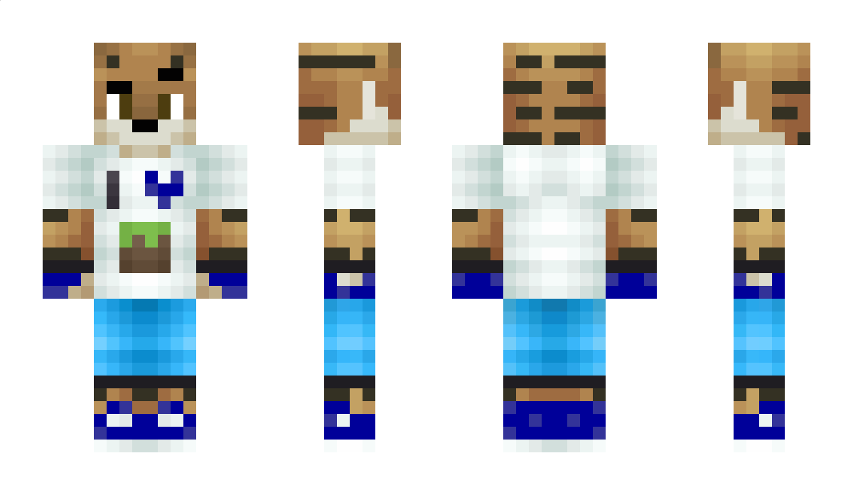 ItzRealLMS Minecraft Skin