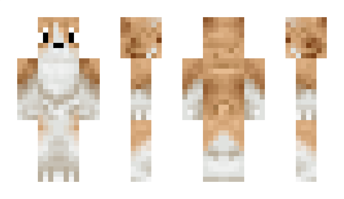 tjro Minecraft Skin