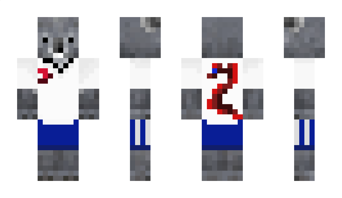 Anci3xd Minecraft Skin