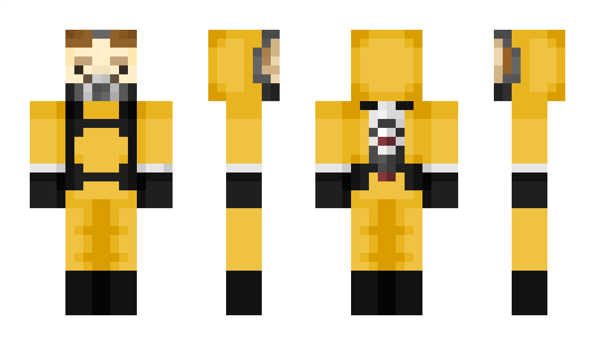 llama12 Minecraft Skin