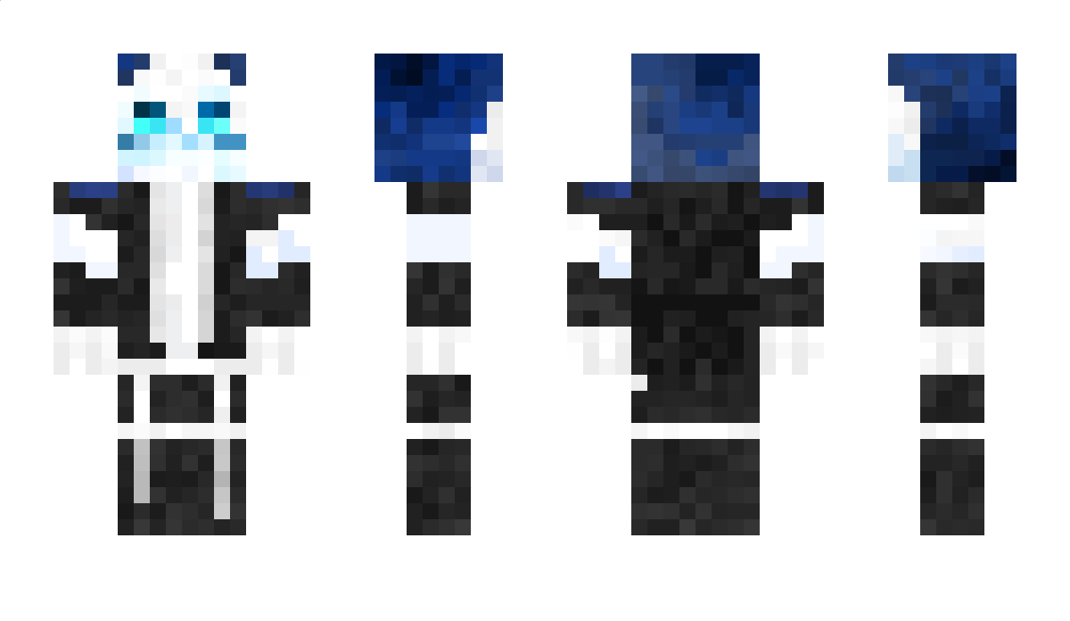 NircraftsuperYT Minecraft Skin