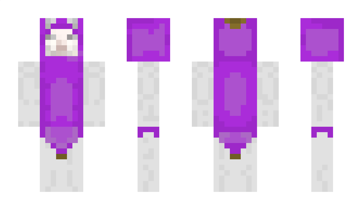 Apsikowy Minecraft Skin