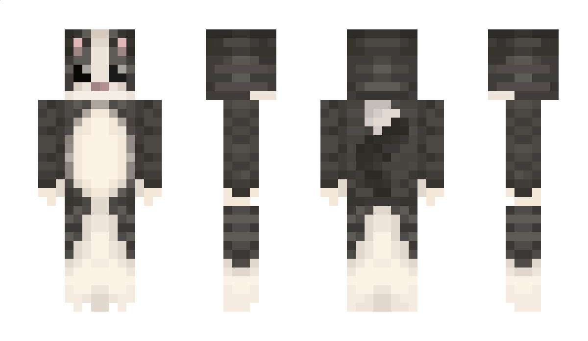 SNOWKITTY835 Minecraft Skin