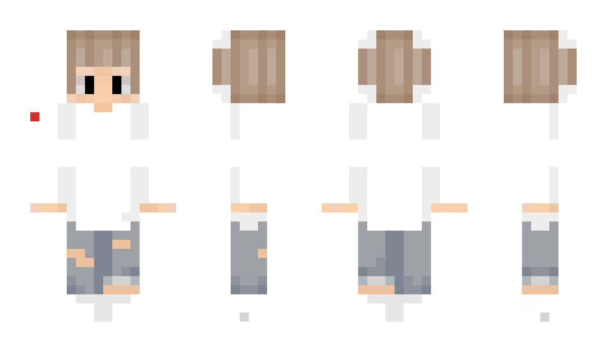 2_L Minecraft Skin