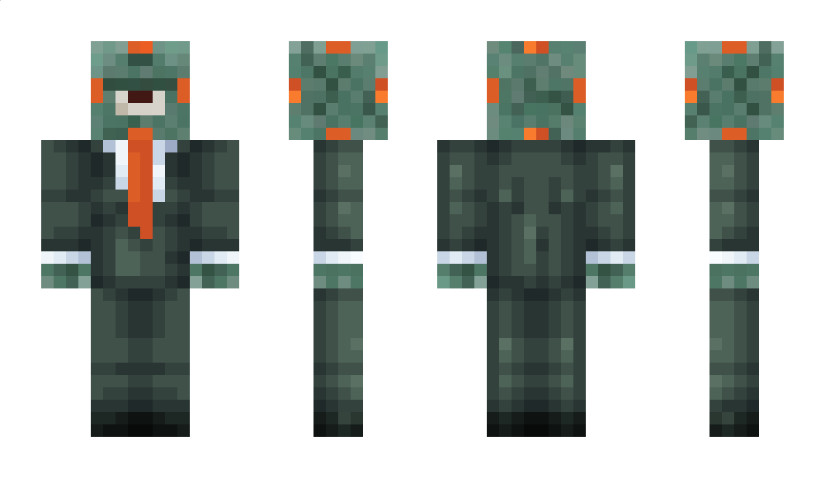 CatTag Minecraft Skin