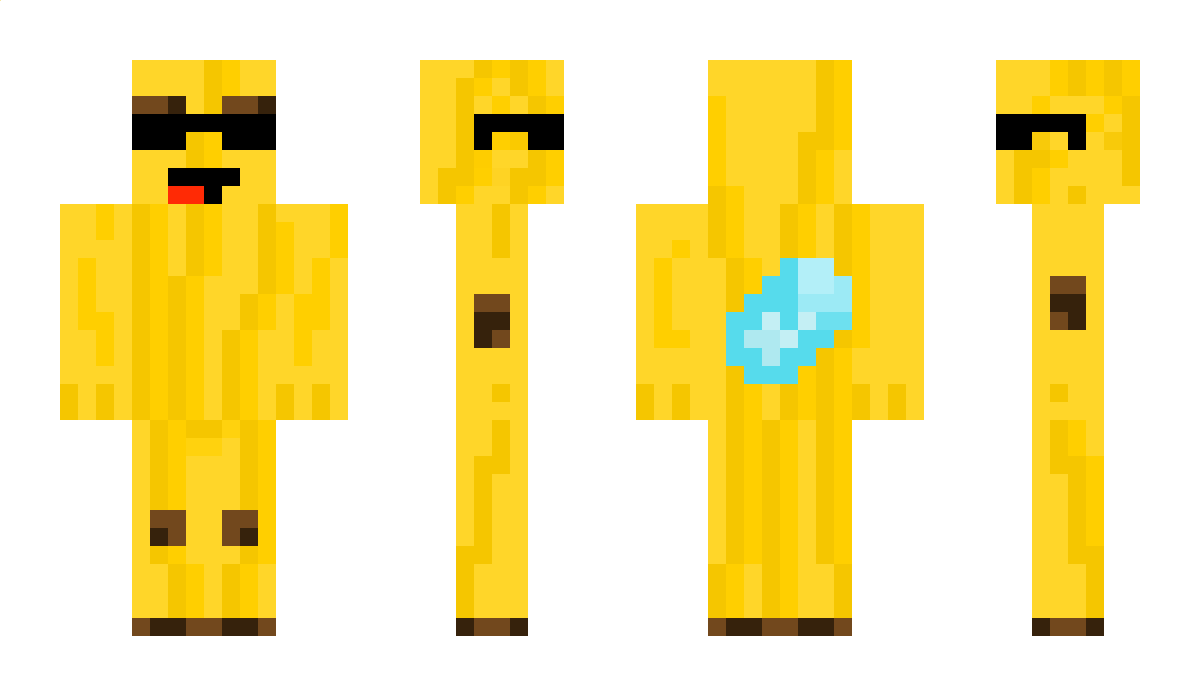 Zelsiu Minecraft Skin