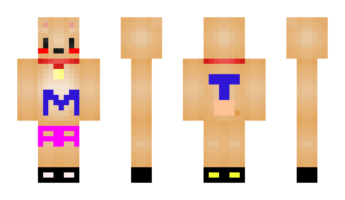 3146 Minecraft Skin