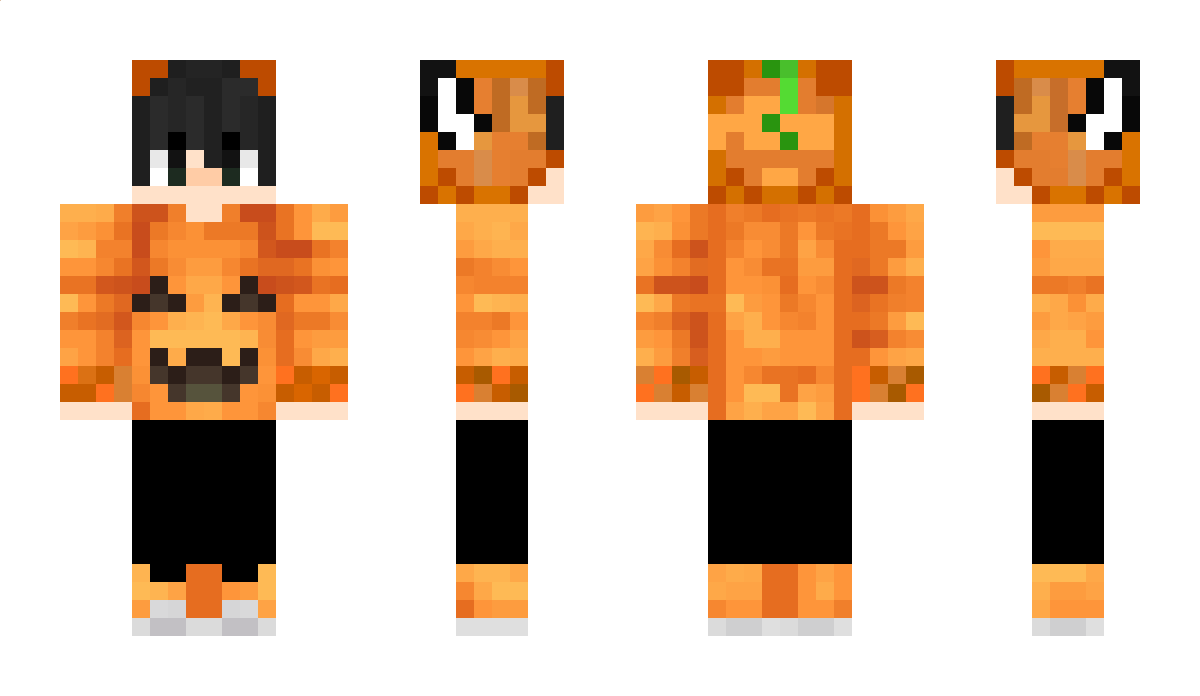 Ravenplus Minecraft Skin