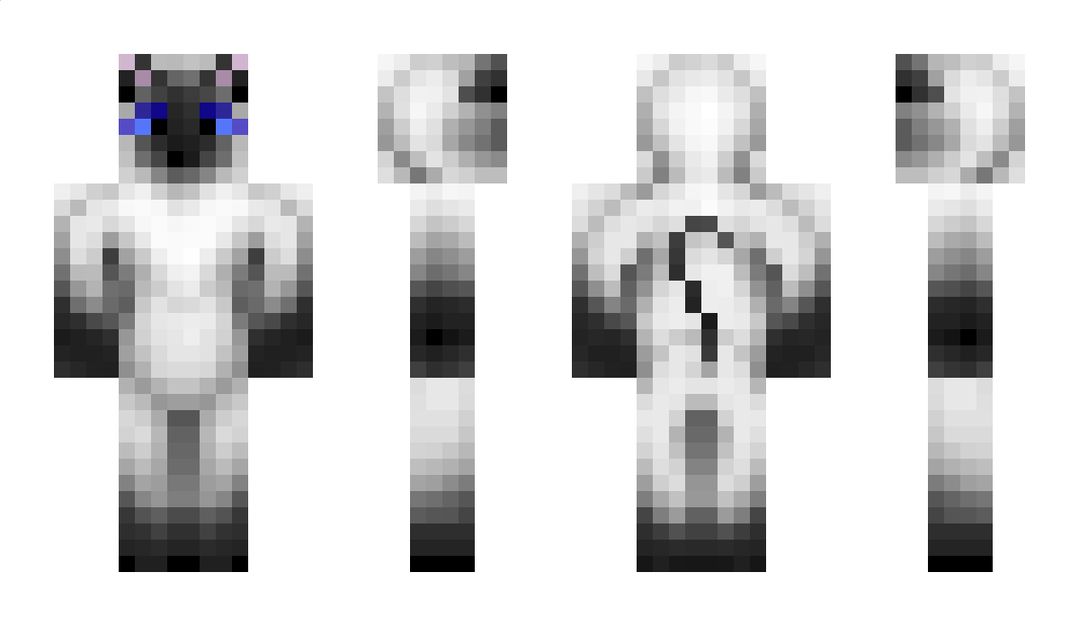 koli Minecraft Skin