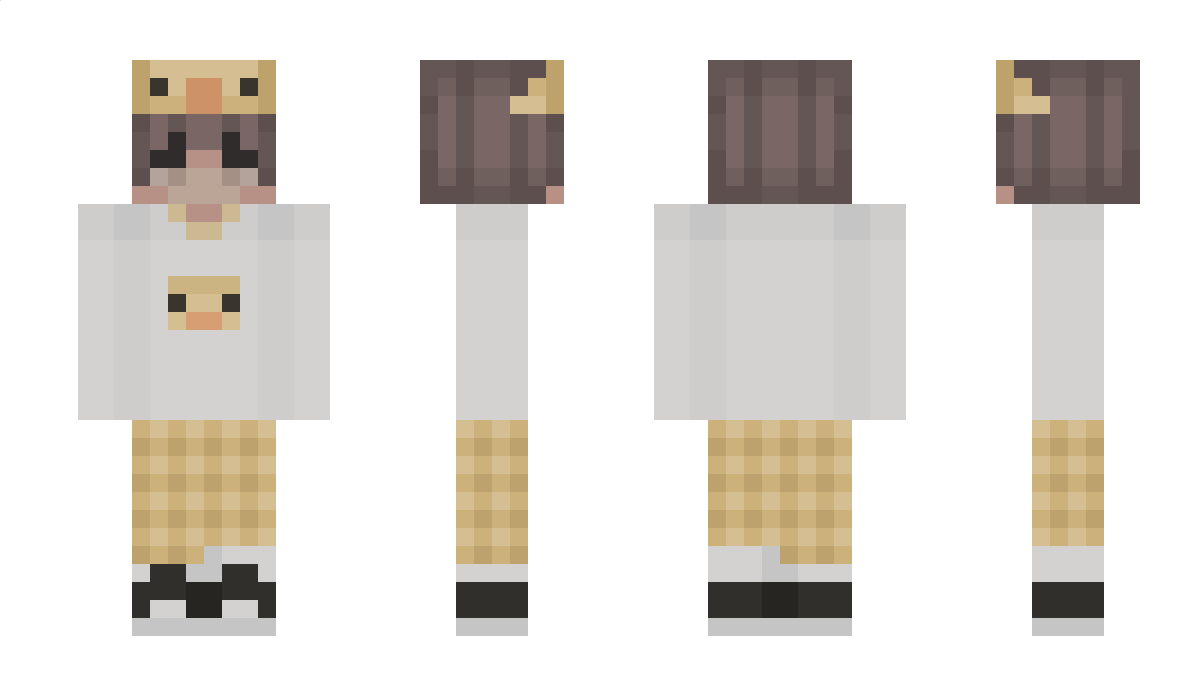 2d2t Minecraft Skin