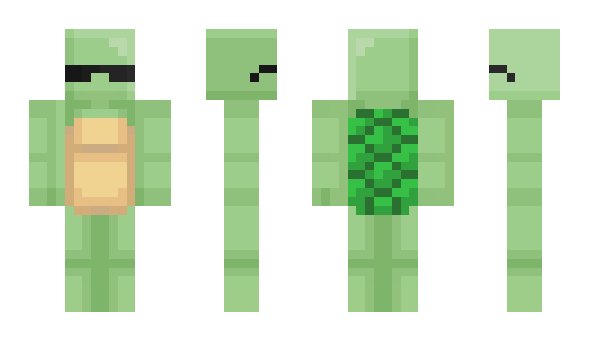 WaterproofTurtle Minecraft Skin