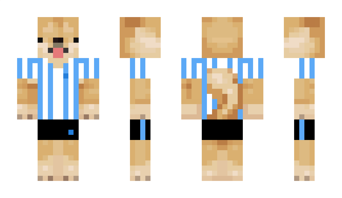 POCHMM Minecraft Skin