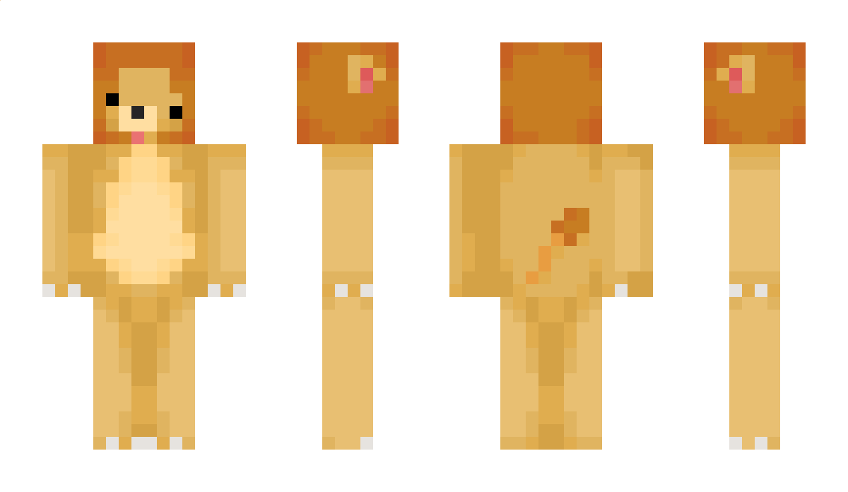 Hint Minecraft Skin