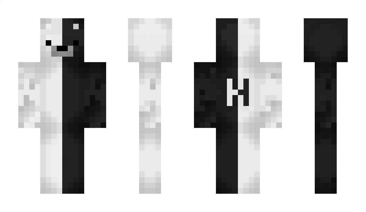 V_VLa Minecraft Skin